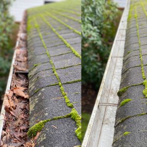Double close picture of a roof with clogged gutters on the left and cleaned gutters on the right.