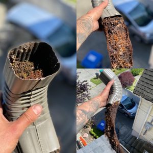 Picture of a clogged gutter with debris.