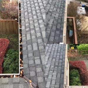 Picture of a roof from above - clogged gutters on the right and cleaned gutters on the right.