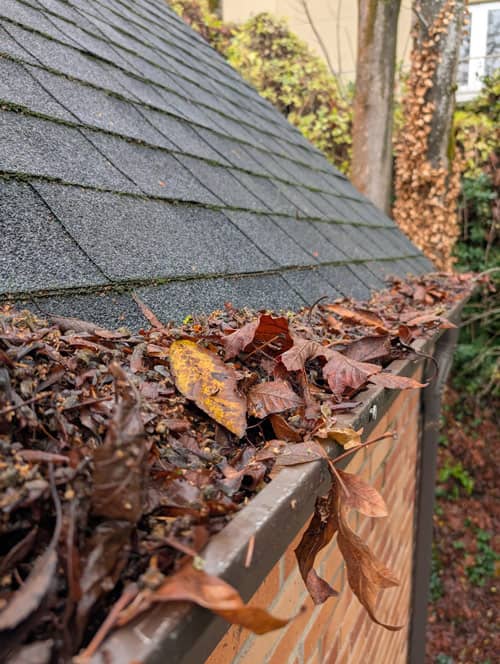 fall gutter maintenance