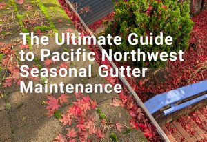 seasonal gutter cleaning tips