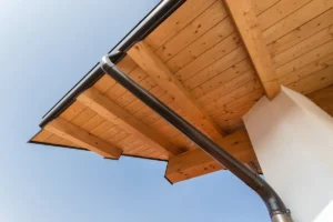 8 Common Problems with Gutters
