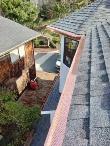 Bellevue Gutter Cleaning Services