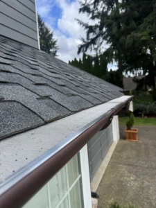 bellevue gutter cleaning residential service