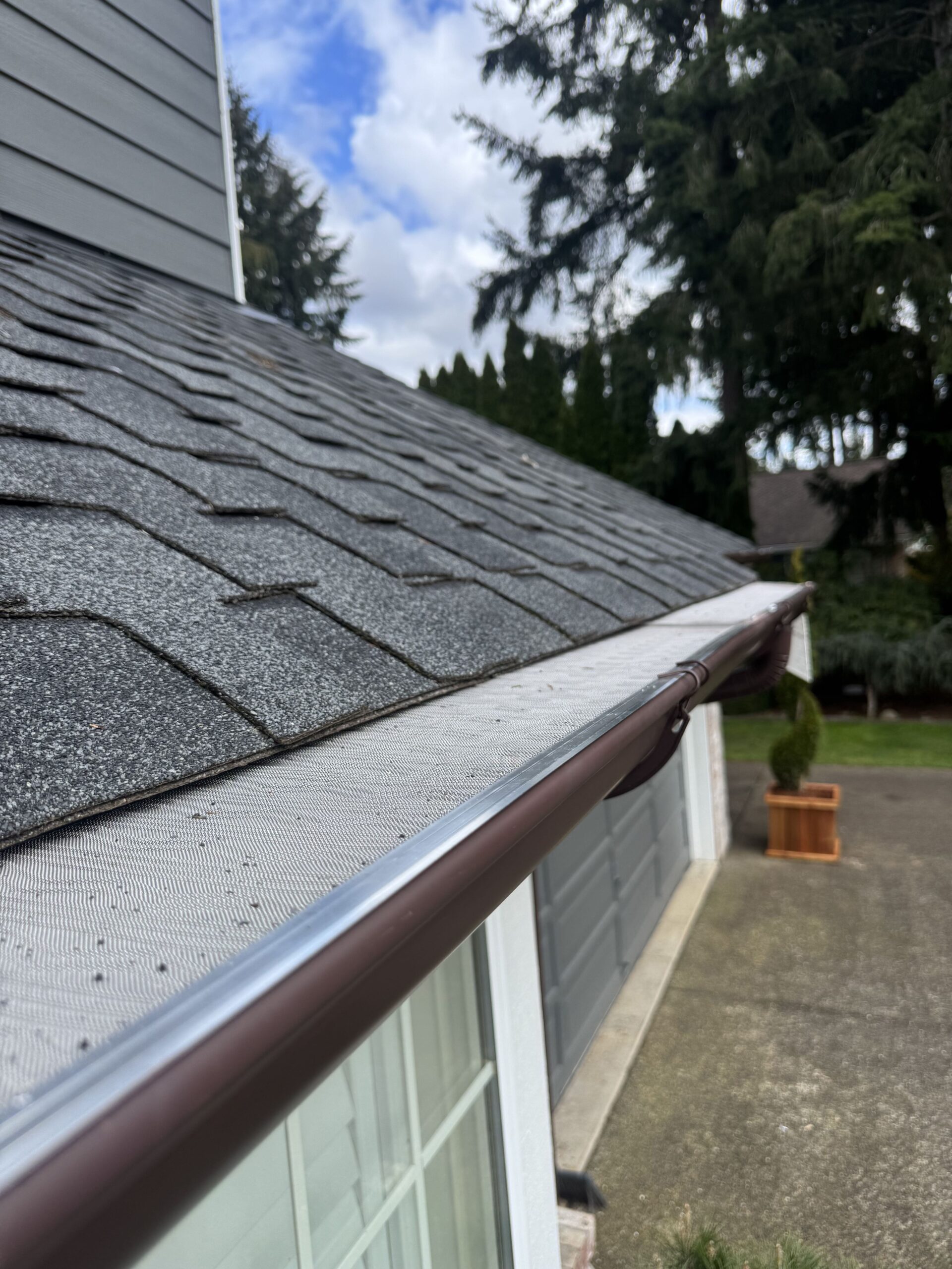 Covington Residential Gutter Cleaning Service