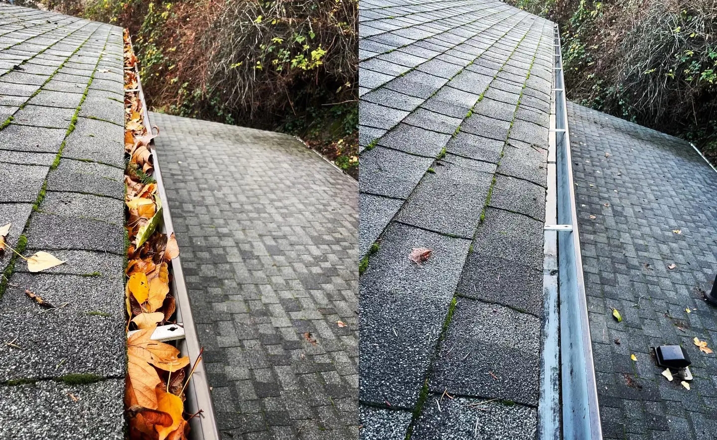 Des Moines gutter cleaning