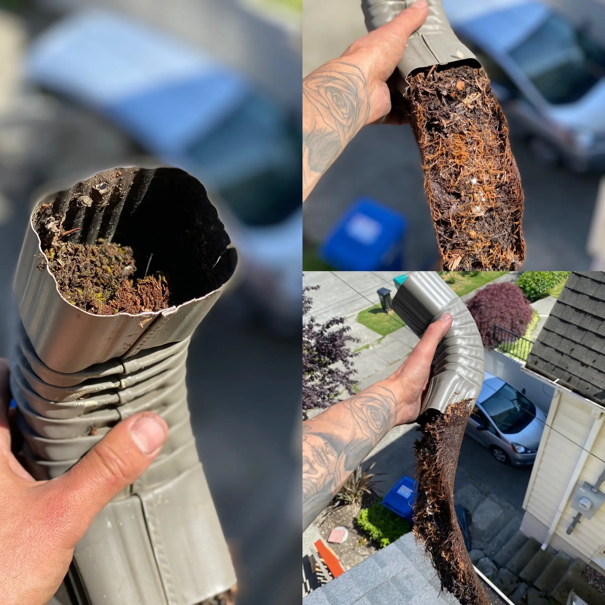 Everett gutter cleaning
