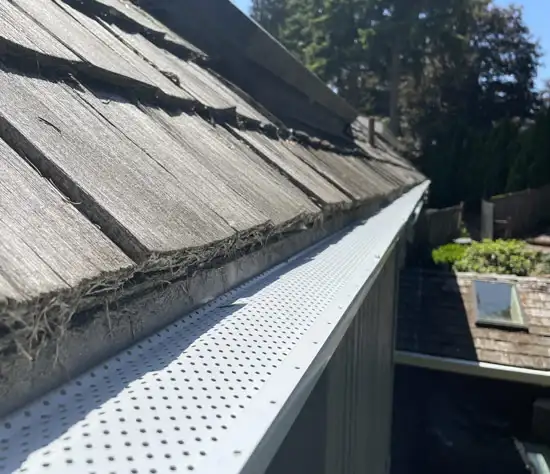 Mountlake Terrace Gutter Services
