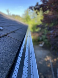 Professional Gutter Services